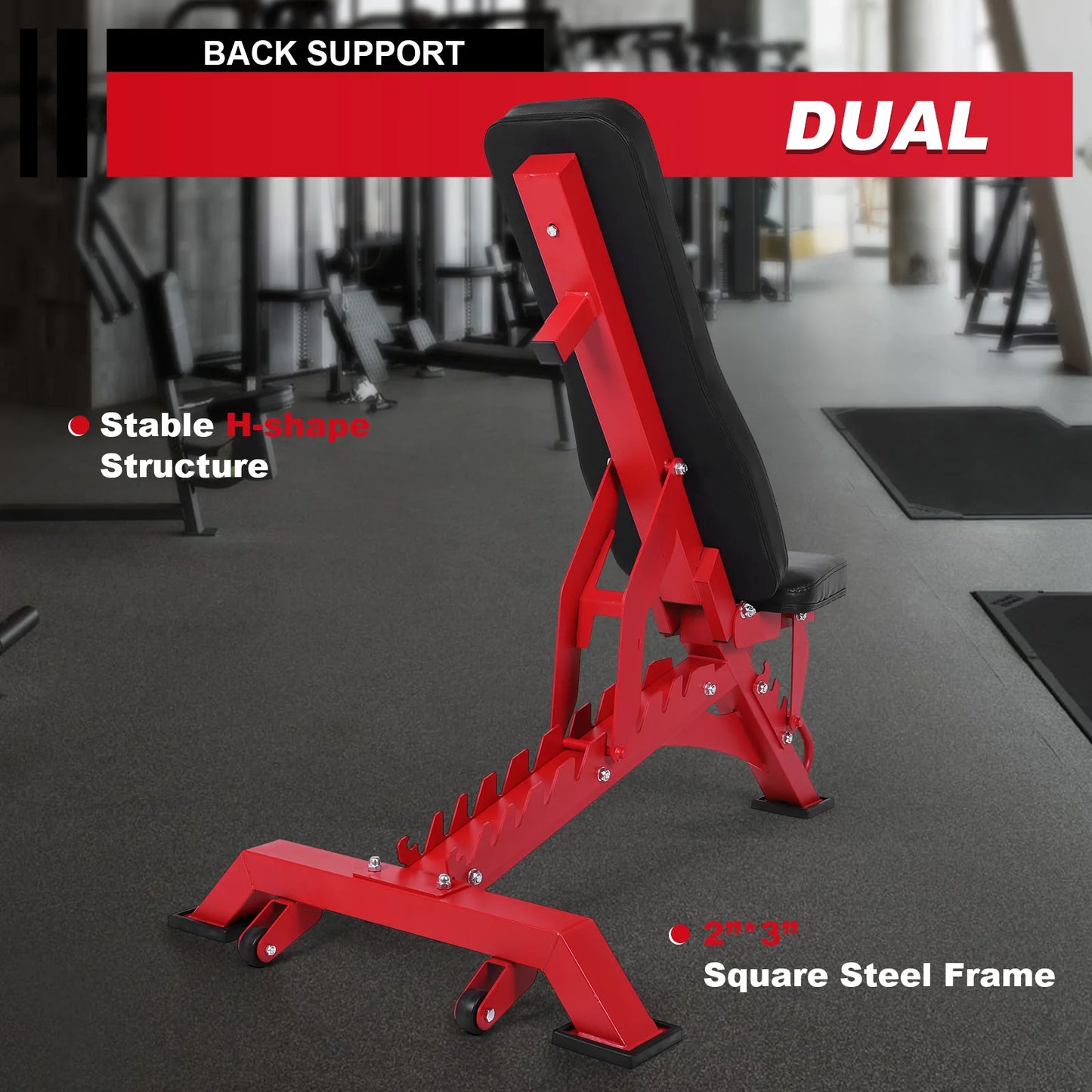 Workout Bench Adjustable Incline Decline Bench for Garage and Home Gym Workouts