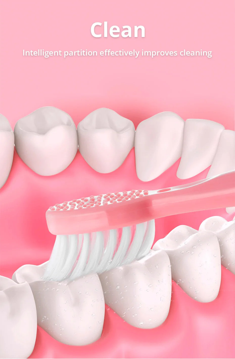 Tongwode Electric Toothbrush for Adults Soft Bristle Portable Battery E802 Endurance IPX6 Waterproof Intelligent Effective