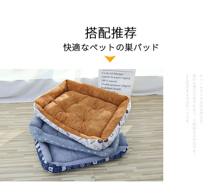 Bed for Cats Pet Products Cushions Kitten Goods Accessories Dog All Houses Supplies Things Accessory Habitats Basket House Beds