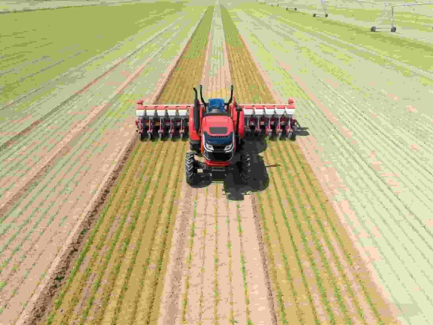 29HP 2WD Small Tractors Factory Direct Sales Customizable for Vegetable Plot & Greenhouse Work