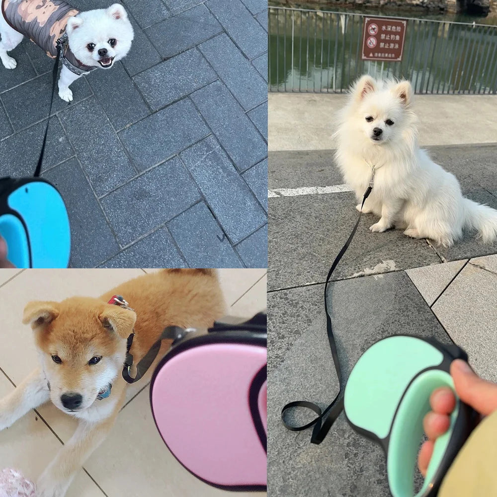 3/5 Meters Retractable Dog Leash Pet Leash Traction Rope Belt Automatic Extending Lead For Small Large Dog Pug Chihuahua Product