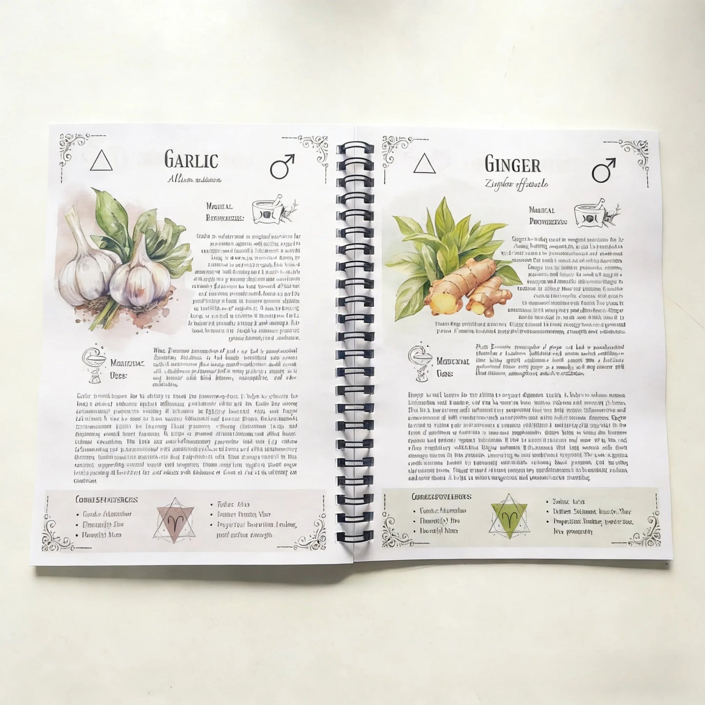 Natural Healing Handbook: Coil bound easy to read notebook with both practical and collectible value