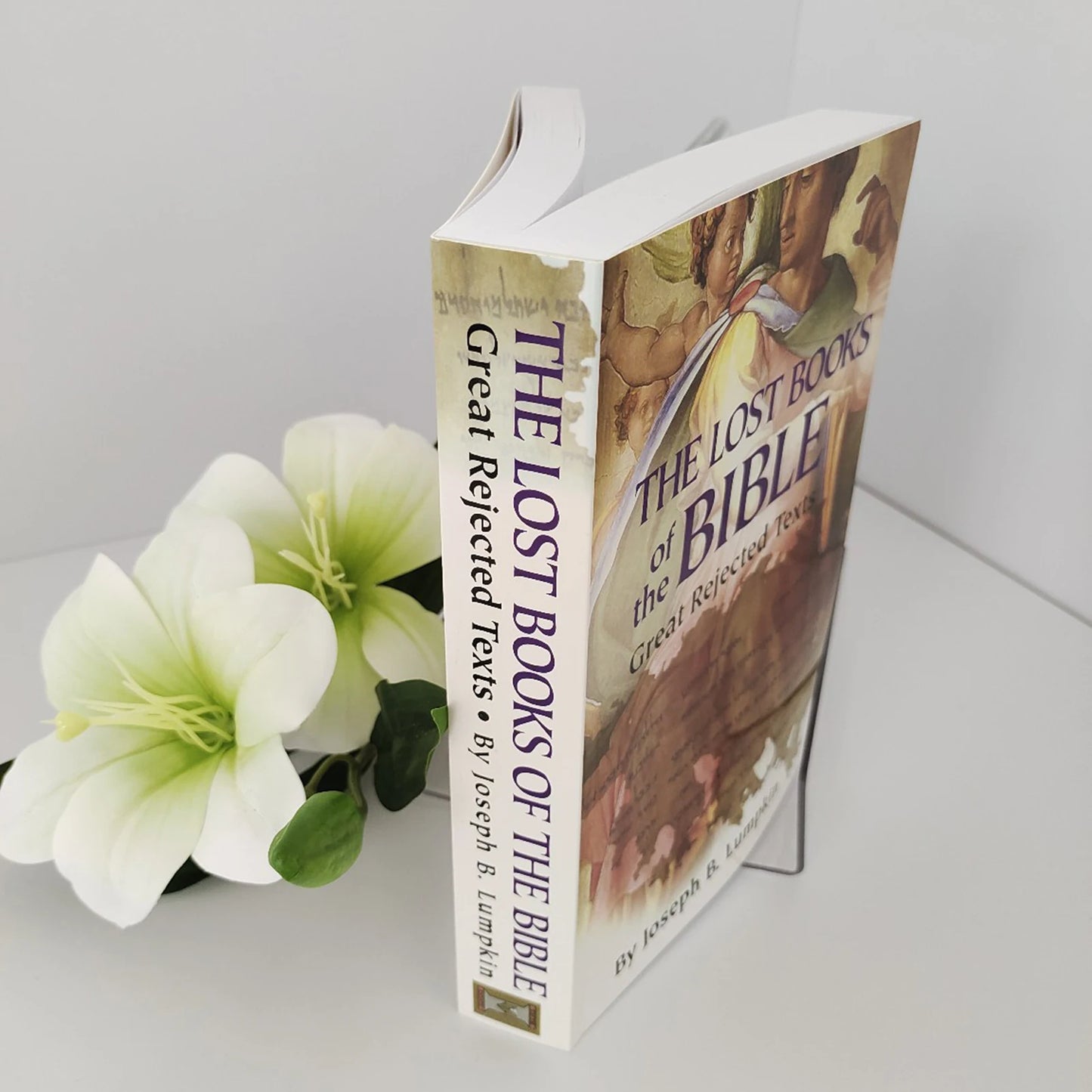 THE LOST BOOKS OF THE BIBLE Theme Religious Ancient Texts Collection Historical Christian Literature
