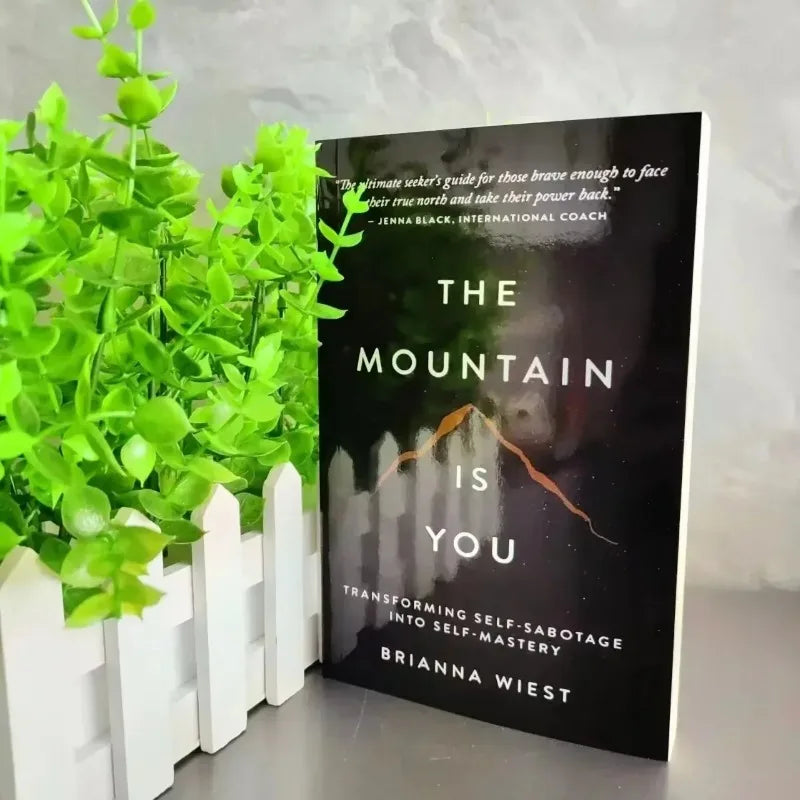 New The Mountain Is You: Transforming Self-Sabotage Into Self-mastery English Books Birthday Gifts
