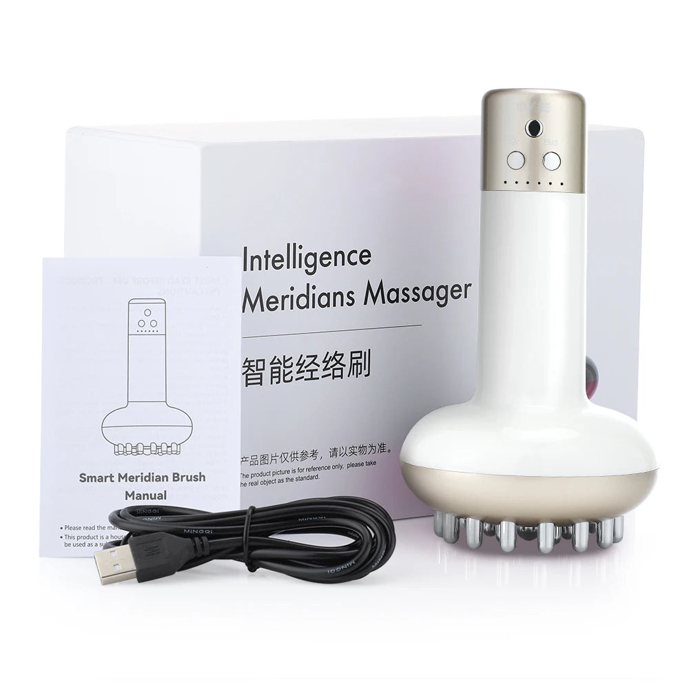 Rechargeable Guasha Massager Body Shaping Heating Meridian Scraping Brush Lymphatic Drainage Machine Fat Burner
