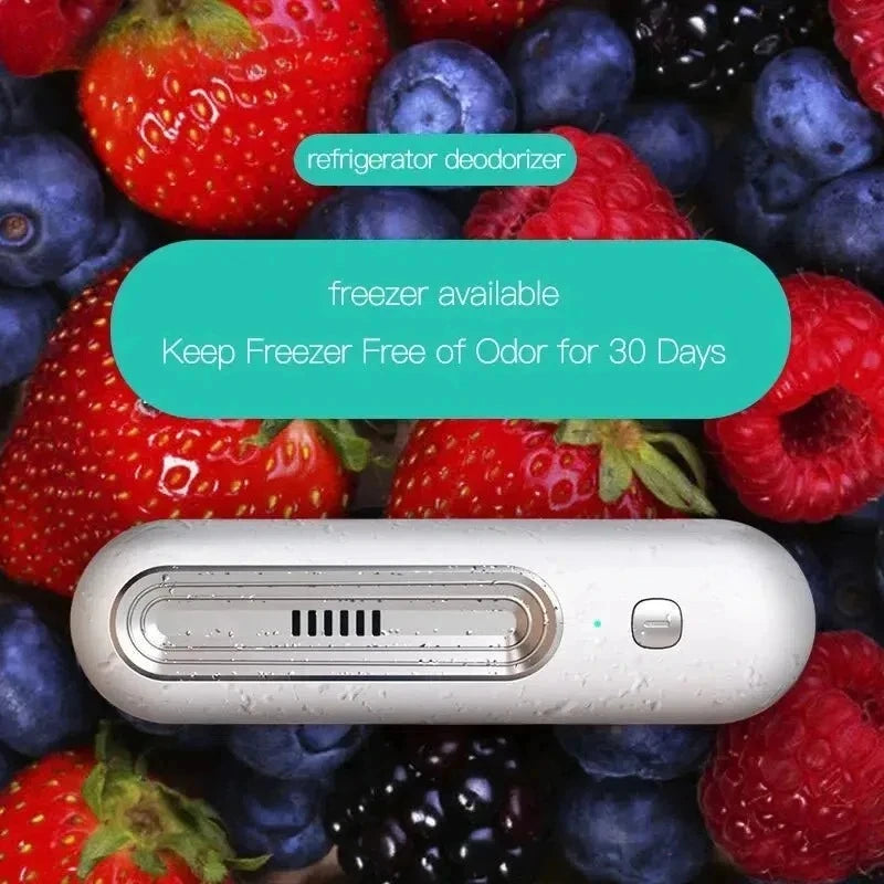 Multi-Functional Air Purifier & Deodorizer for Refrigerator, Car, Pet Area, Toilet - Eliminates Odors and Extends Food Freshness