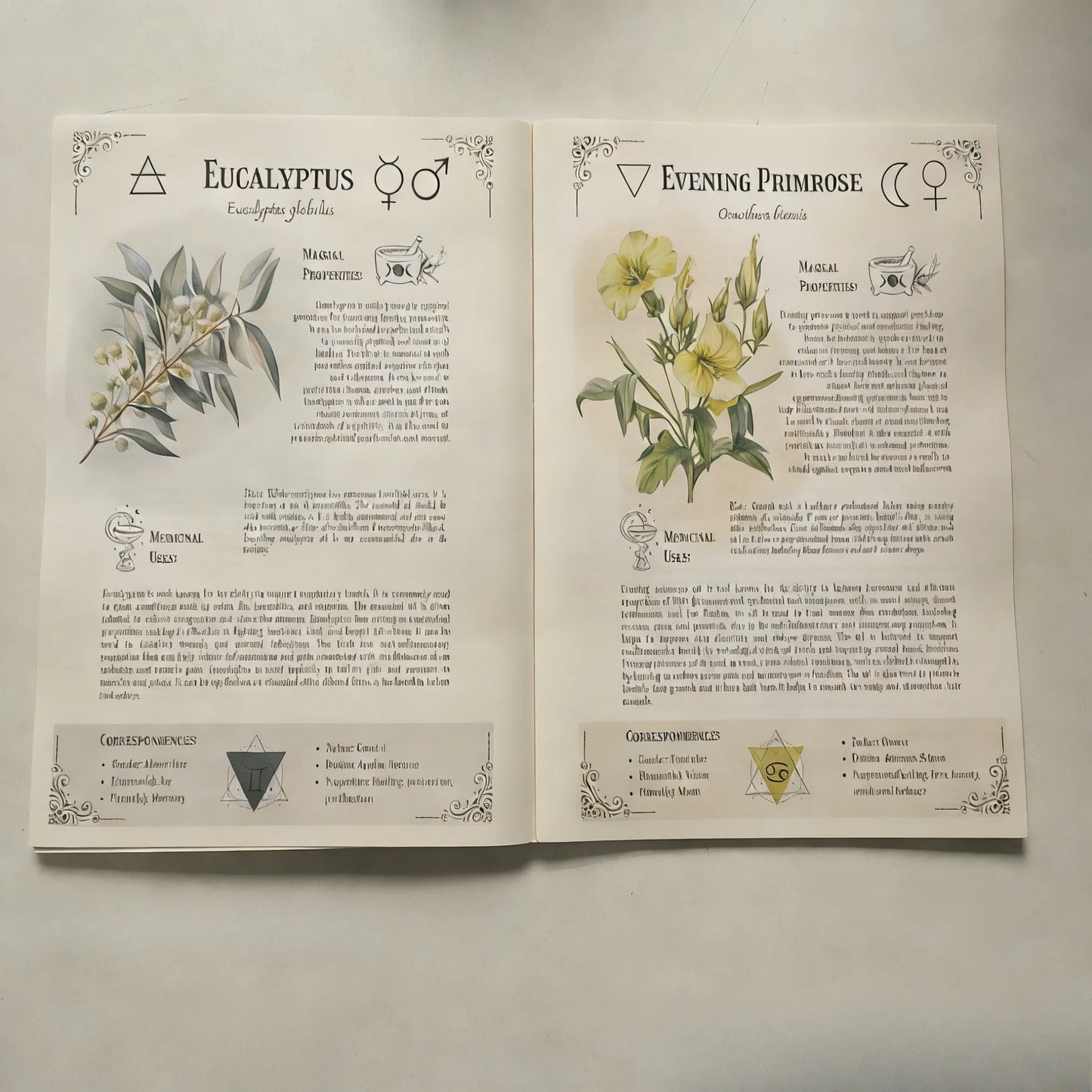Natural Healing Handbook: Coil bound easy to read notebook with both practical and collectible value
