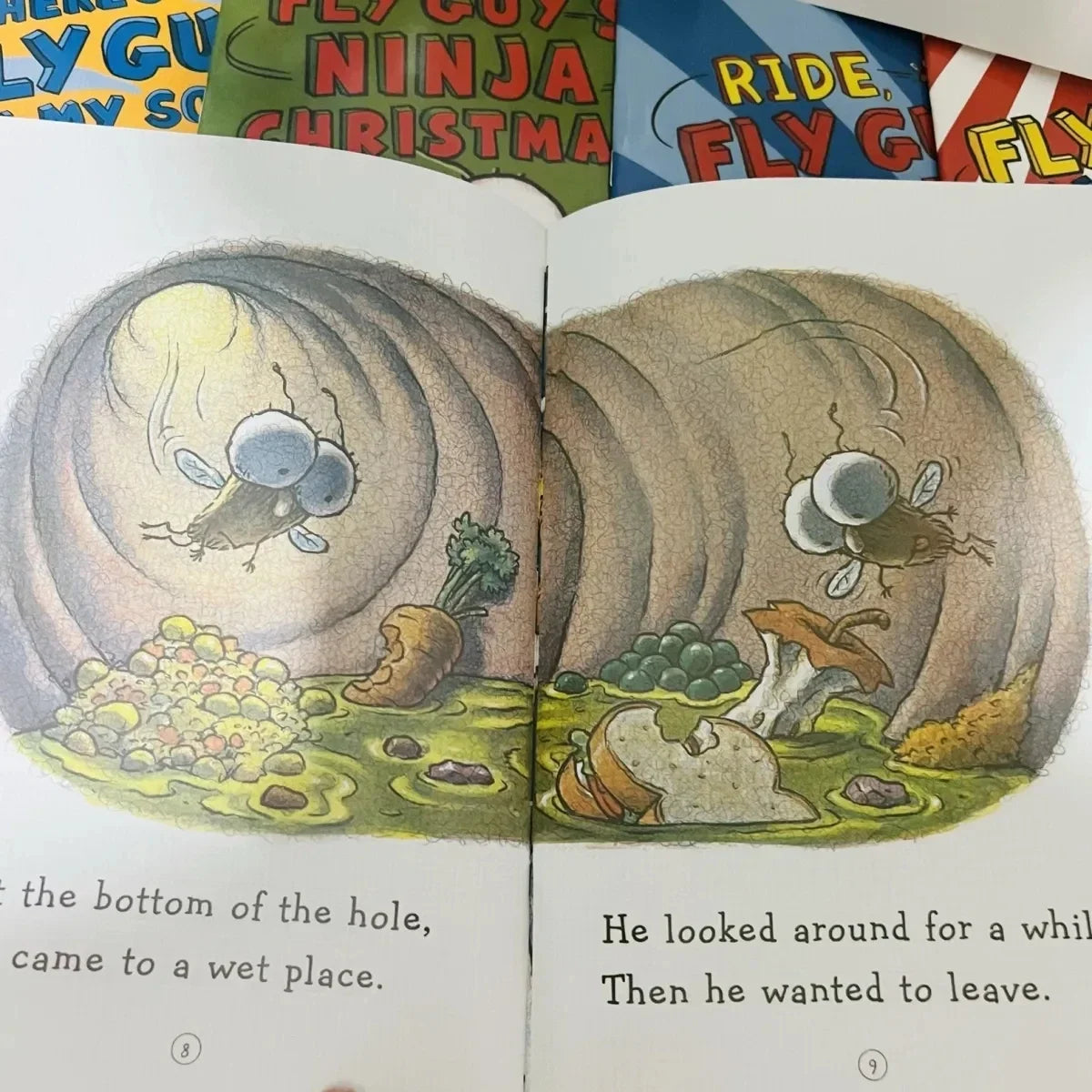 21 Books English Usborne Books for Children Kids Picture Books Baby Famous Story The Fly Guy Series Fun Reading Story Book
