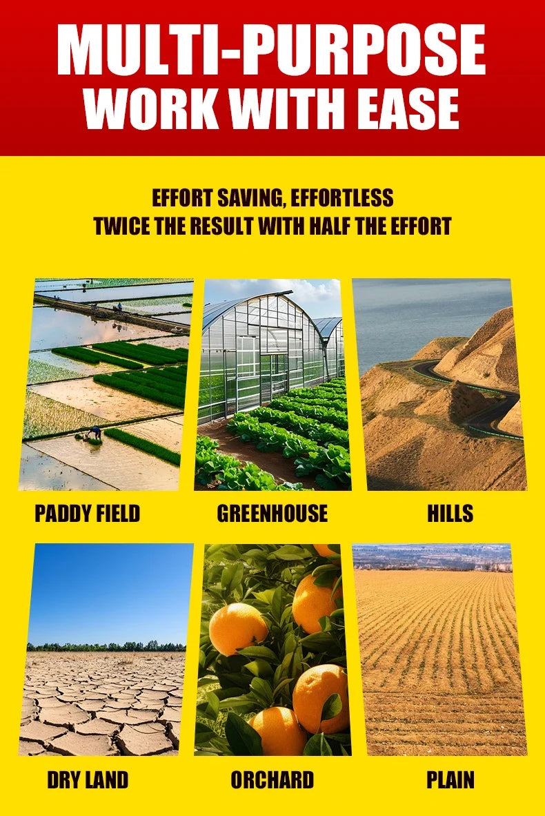 29HP 2WD Small Tractors Factory Direct Sales Customizable for Vegetable Plot & Greenhouse Work