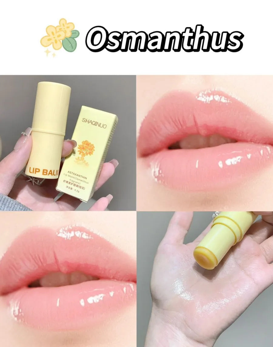 3-Color Lip Balm - Osmanthus, Jasmine Tea, and Grape Scents ,lip care, hydrating and nourishing