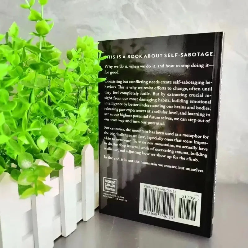 New The Mountain Is You: Transforming Self-Sabotage Into Self-mastery English Books Birthday Gifts