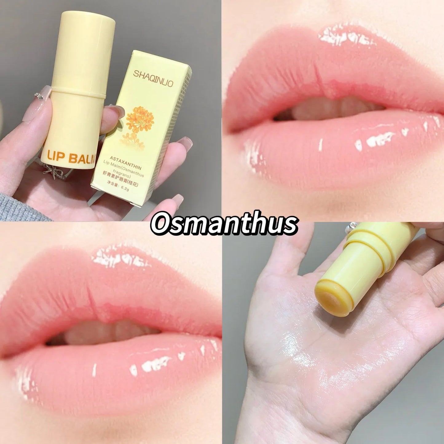 3-Color Lip Balm - Osmanthus, Jasmine Tea, and Grape Scents ,lip care, hydrating and nourishing