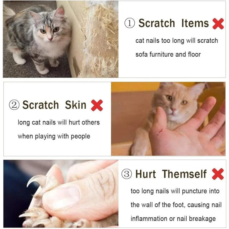 Pet Nail Clippers Cat Dog Claw Toenail Trimmer Cat Nail Scissors Home Sharp Professional Nail Grooming Tool for Small Animals