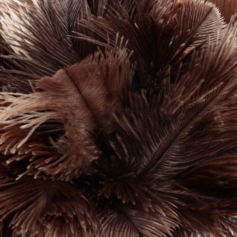 Wooden Handle Duster Dust Cleaning Tool Household Anti-static Ostrich Feather Fur Brush Clean Car Removal For Home Accessories