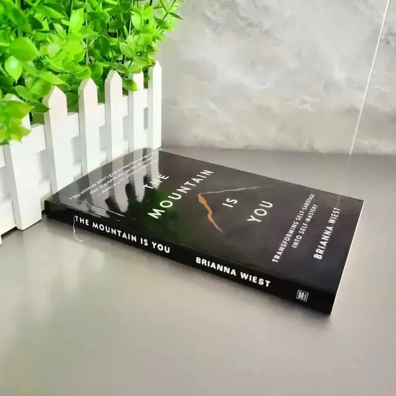 New The Mountain Is You: Transforming Self-Sabotage Into Self-mastery English Books Birthday Gifts
