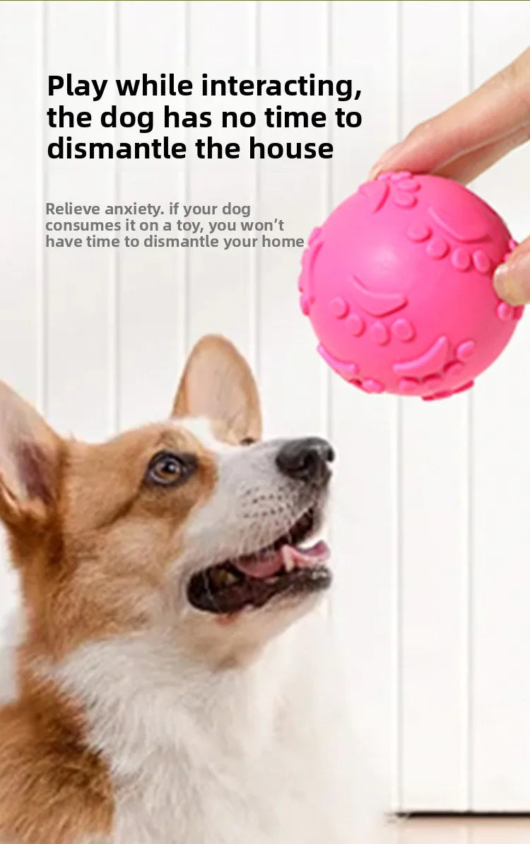 Durable Chew Resistant Squeaky Paw Print Ball Dog Toy - Pet Dental Teething Bite Proof Fetch Ball with Grippy Texture for Puppy