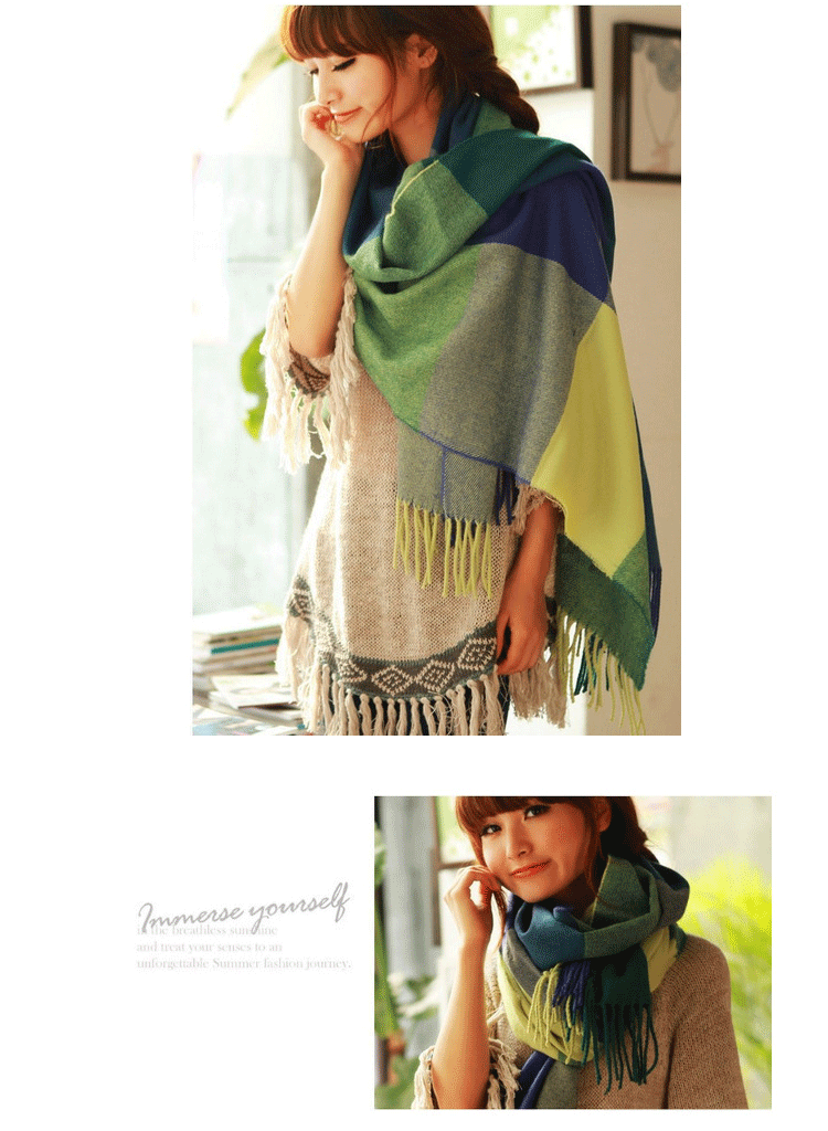 Winter Female Lattice Imitation Cashmere Scarf Autumn And Winter Thick Fashion Warm Wild Scarf Shawl