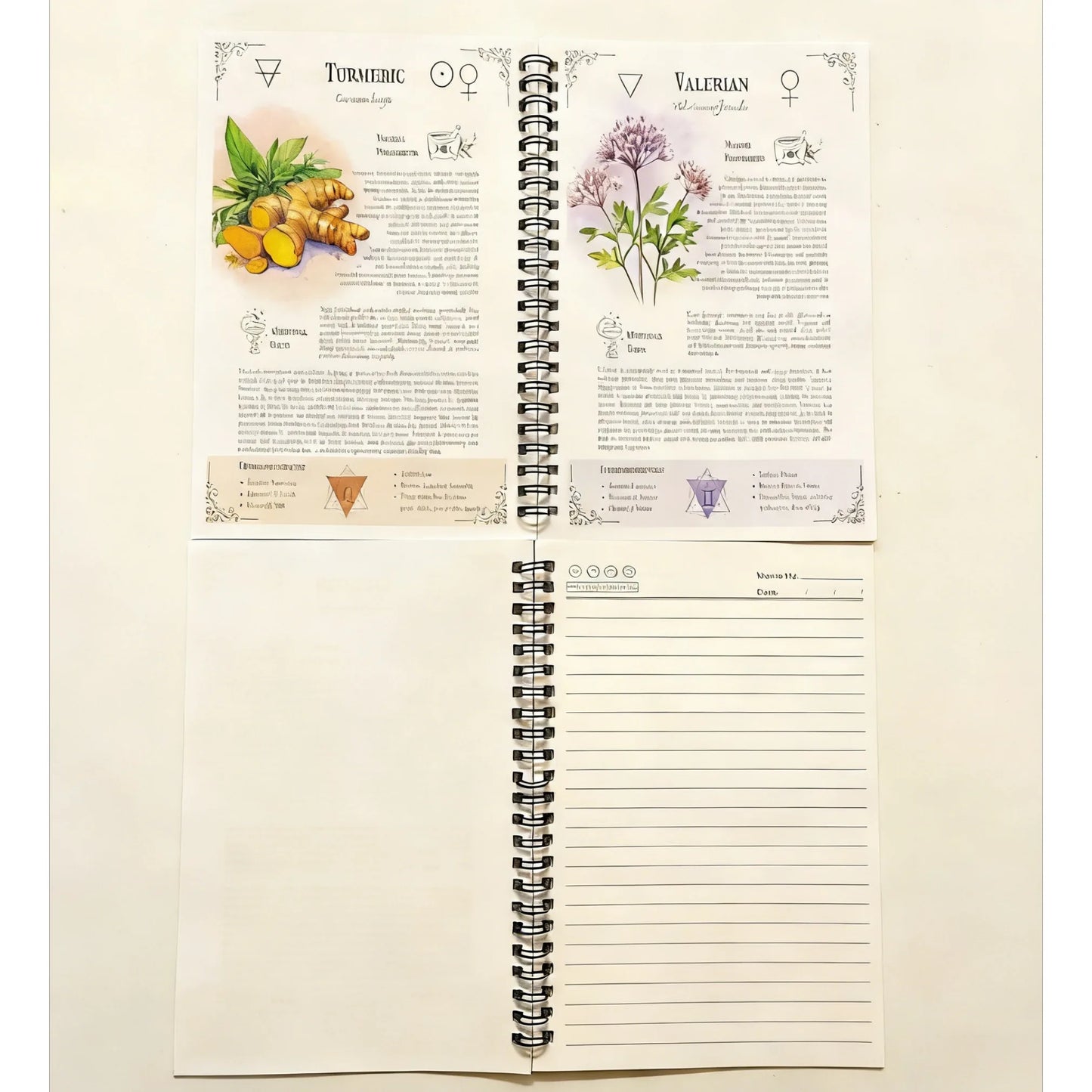 Natural Healing Handbook: Coil bound easy to read notebook with both practical and collectible value