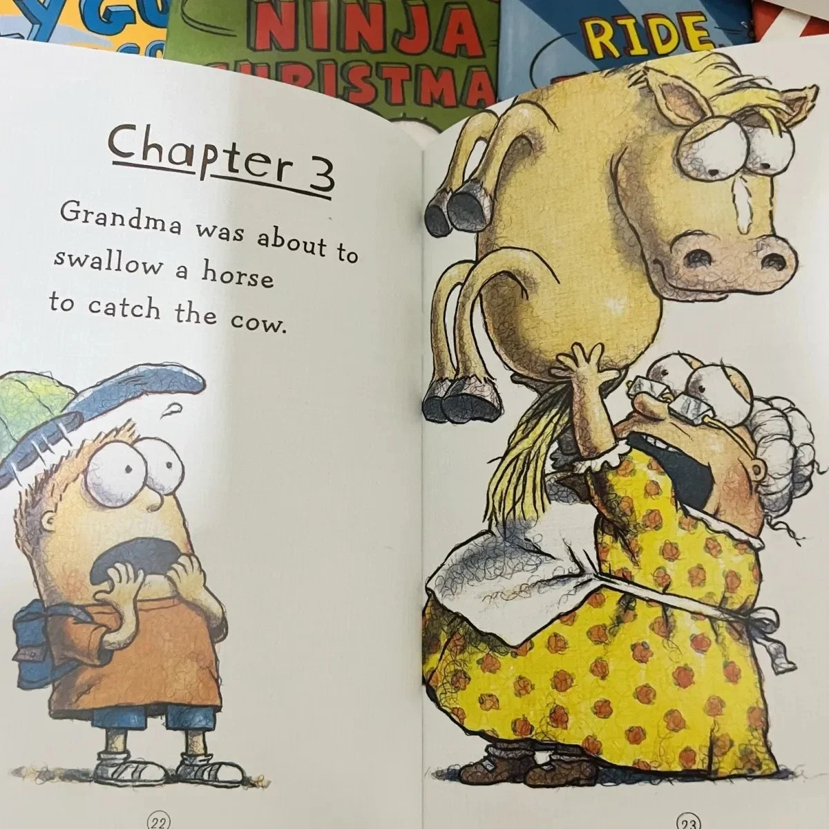 21 Books English Usborne Books for Children Kids Picture Books Baby Famous Story The Fly Guy Series Fun Reading Story Book