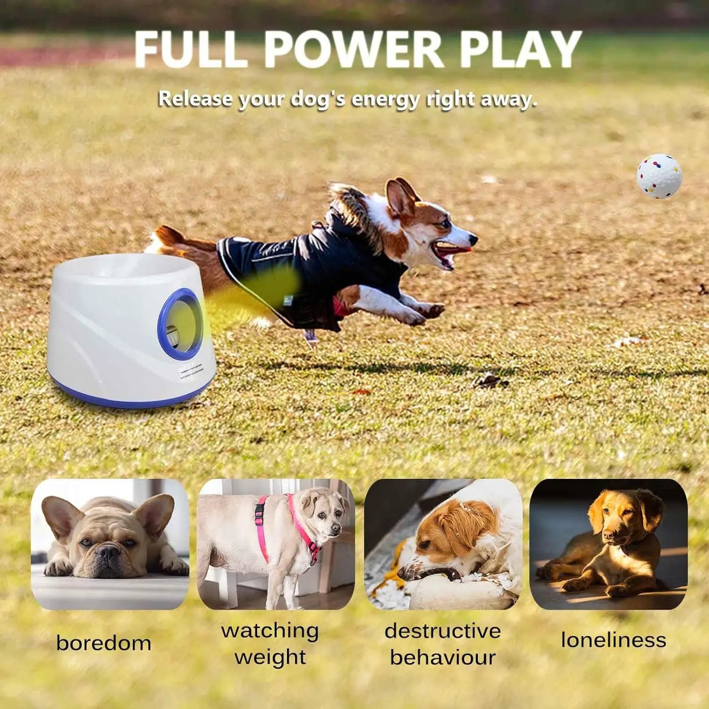 Improved Small-sized Pet Automatic Sensing Ball Throwing Machine Dog Outdoor Thrower Carrying 3 Balls Automatic Throwing Machine