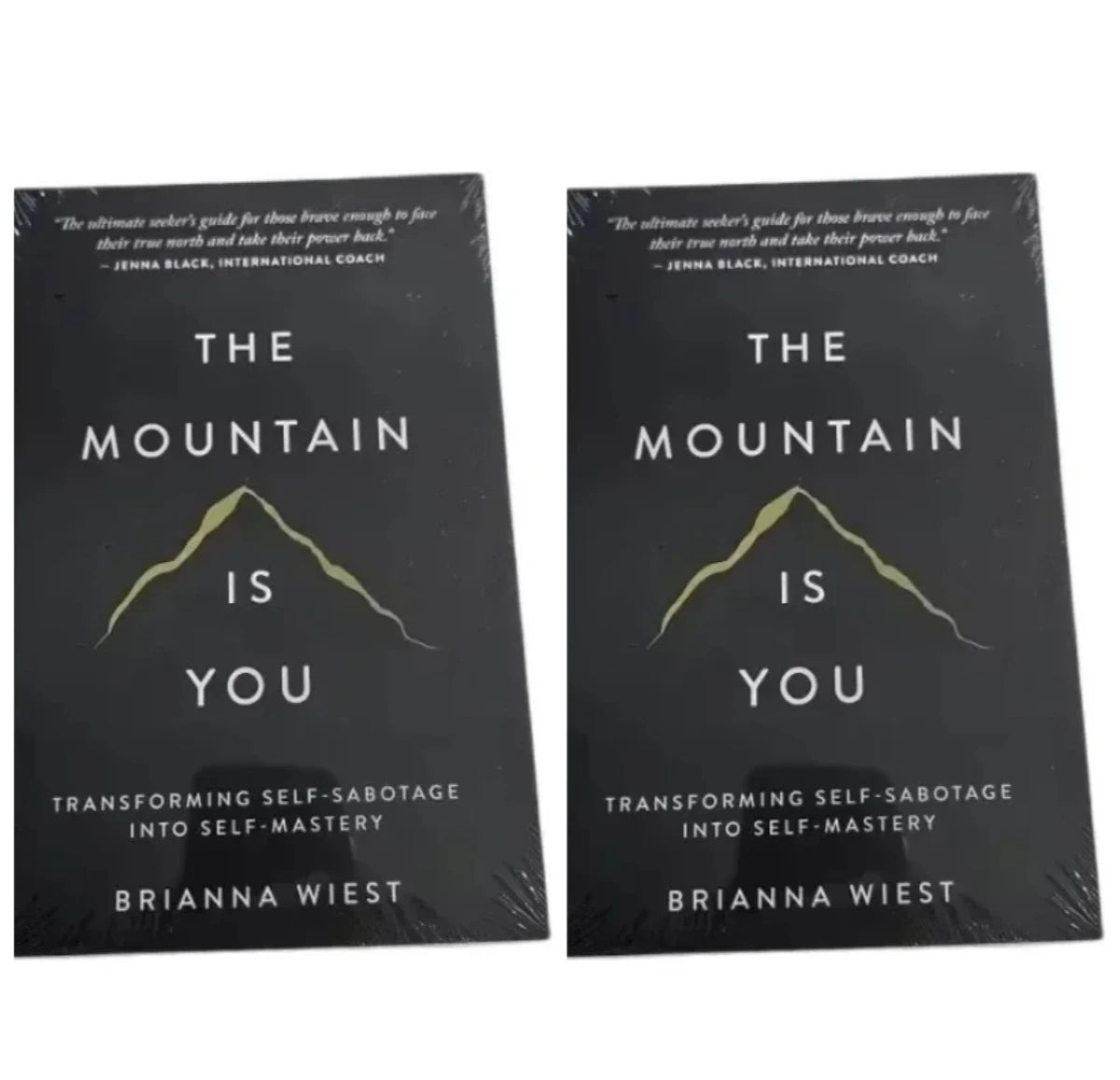 New The Mountain Is You: Transforming Self-Sabotage Into Self-mastery English Books Birthday Gifts