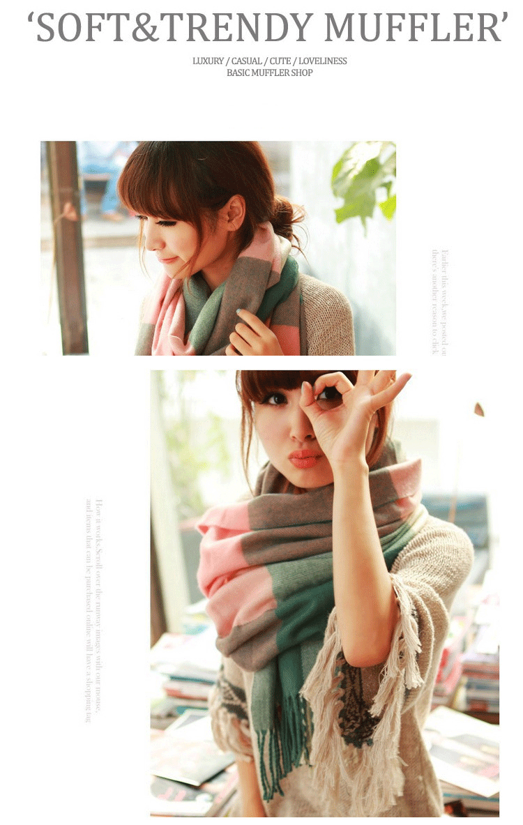 Winter Female Lattice Imitation Cashmere Scarf Autumn And Winter Thick Fashion Warm Wild Scarf Shawl