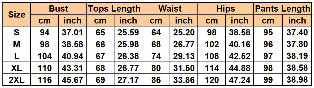 2 Piece Women Set Summer Autumn Sleeveless Shirt Blouse Top And Pants Suits Outfits Fashion Office Lady Matching Sets Outfit