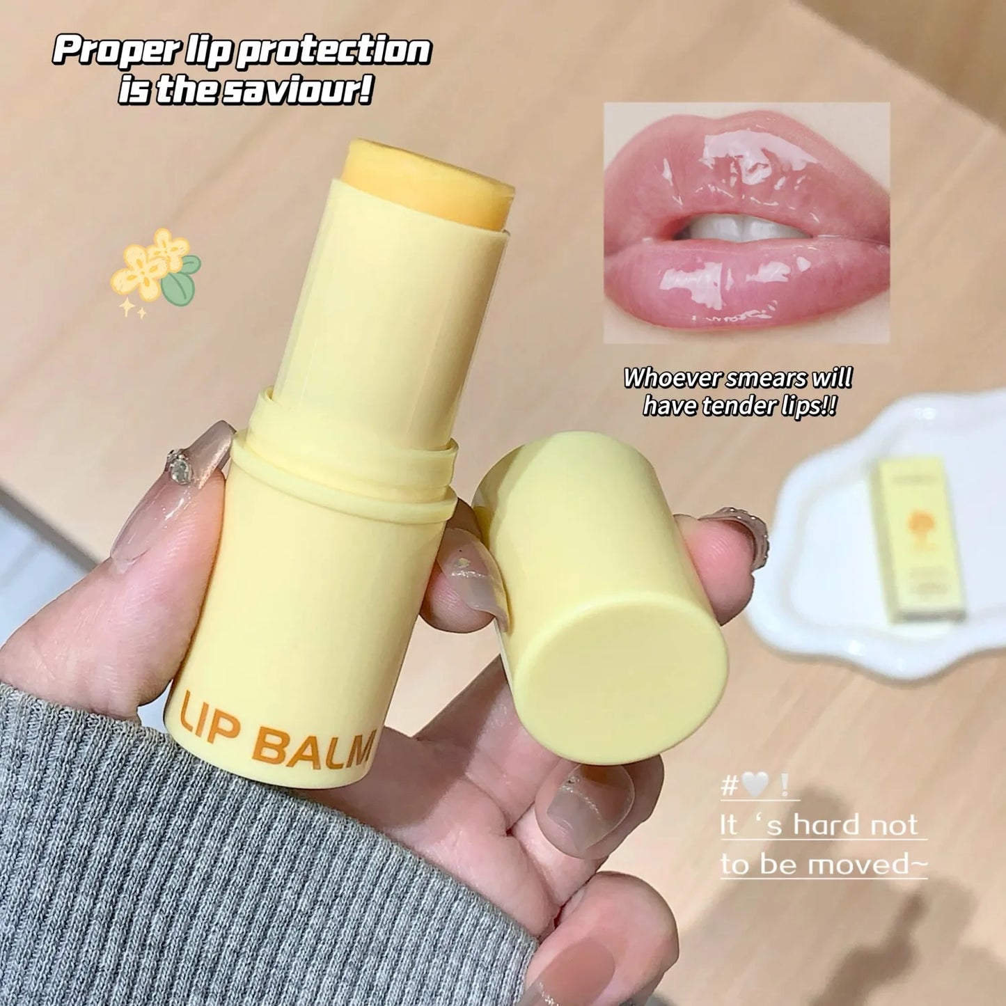 3-Color Lip Balm - Osmanthus, Jasmine Tea, and Grape Scents ,lip care, hydrating and nourishing