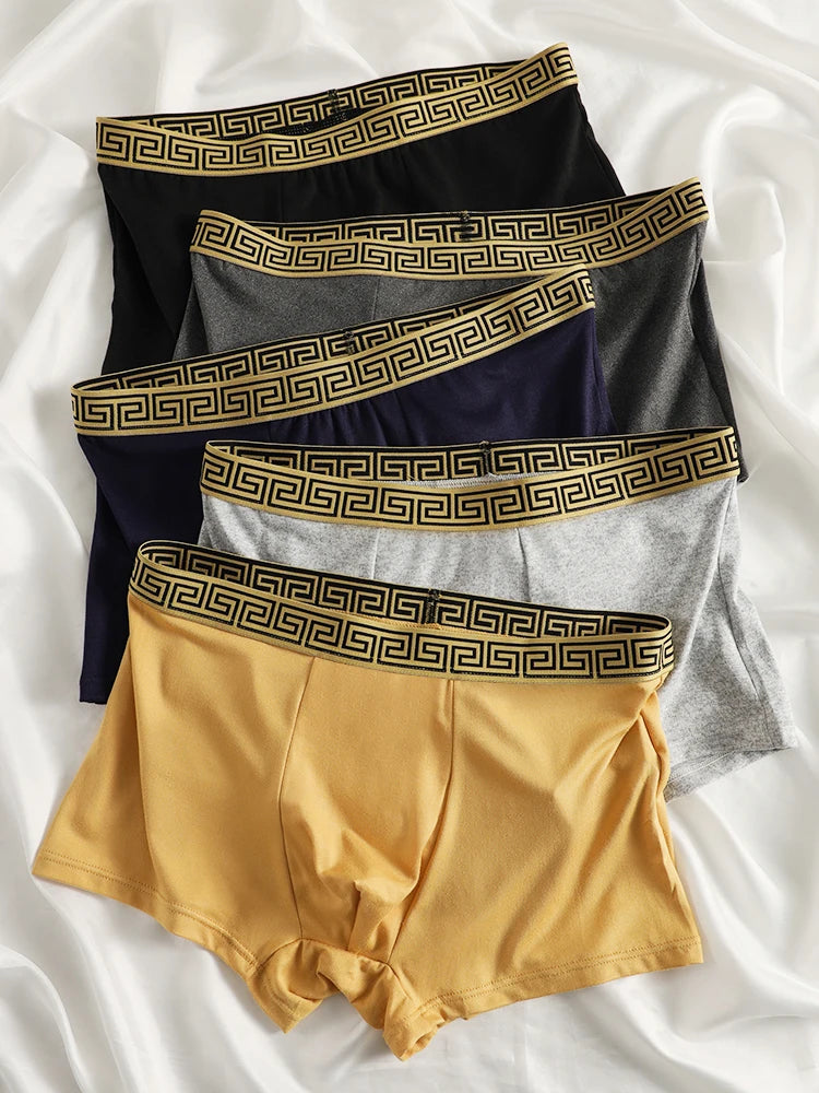 Men's 5-Pack Milk Silk Boxers - Luxe Greek Key Waistband
