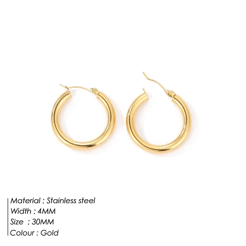 e-Manco Classic Stainless Steel Ear Buckle for Women Trendy Gold Color Small Large Circle Hoop Earrings  Jewelry Accessories
