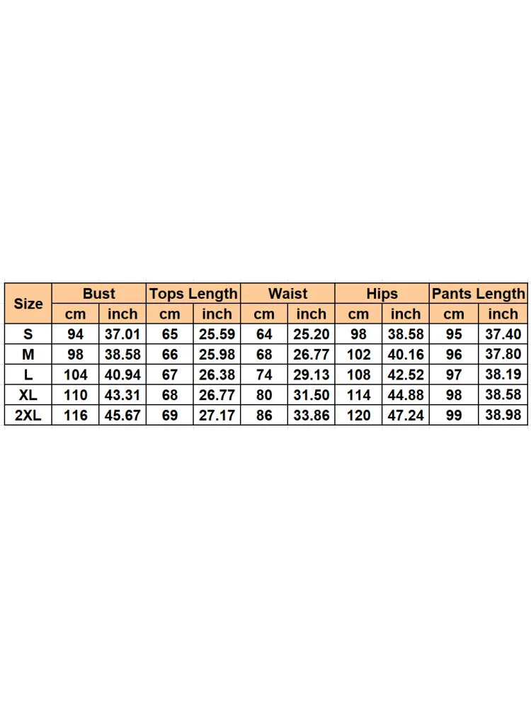 2 Piece Women Set Summer Autumn Sleeveless Shirt Blouse Top And Pants Suits Outfits Fashion Office Lady Matching Sets Outfit